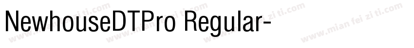 NewhouseDTPro Regular字体转换